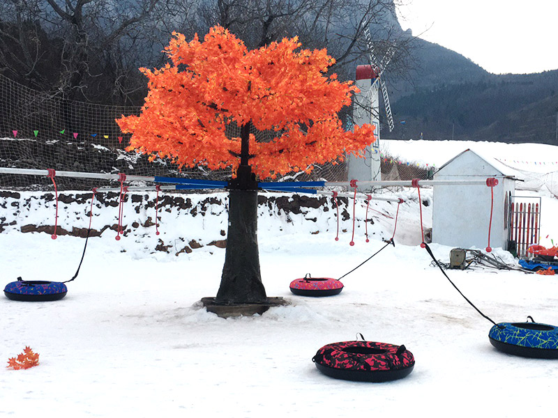 雪地轉(zhuǎn)轉(zhuǎn)01