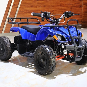 雪地摩托卡丁車(chē)