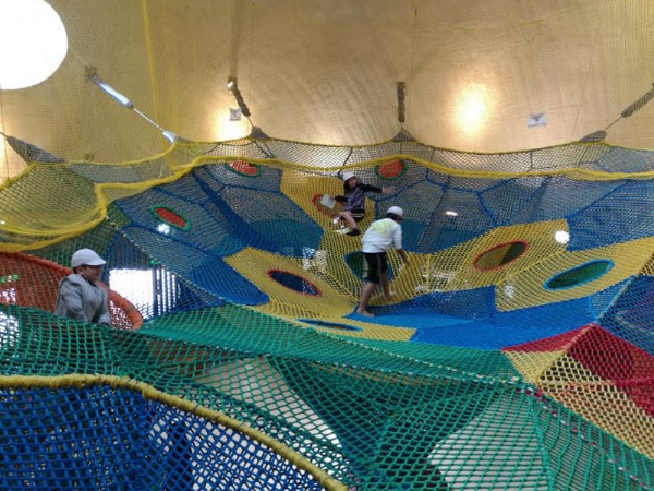 魔力樹(shù)網(wǎng)