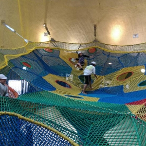 魔力樹(shù)網(wǎng)