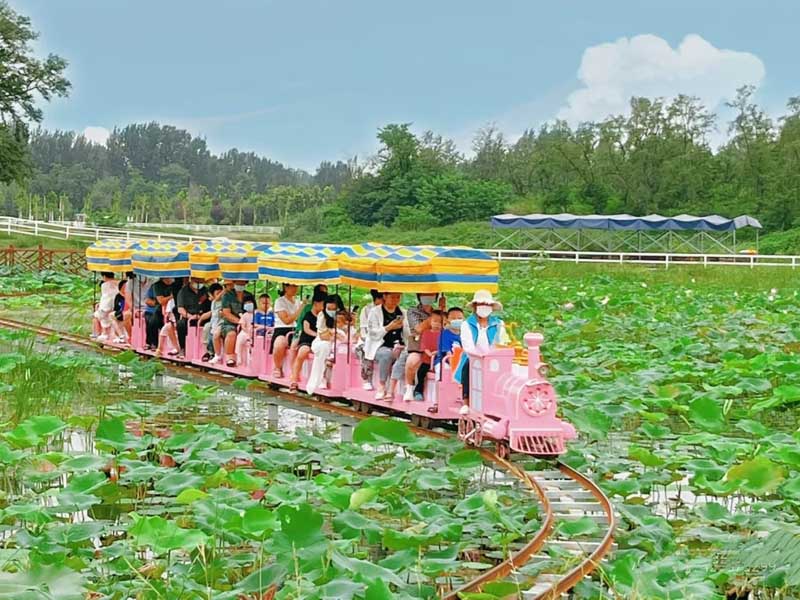 微信圖片_20250530173246