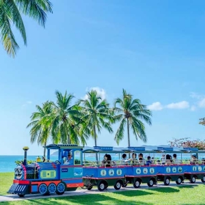 機(jī)械動(dòng)力類(lèi)